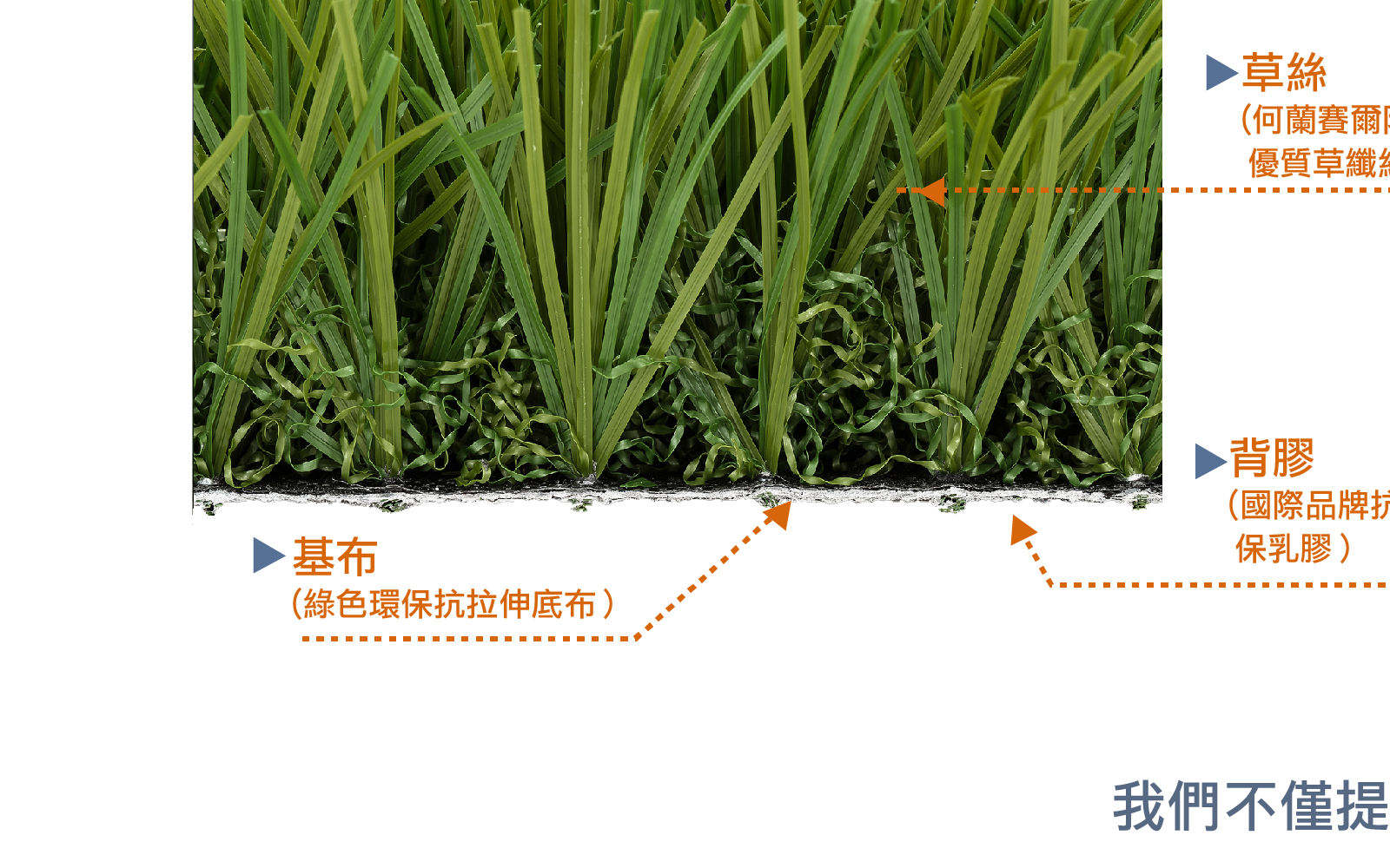 人工草材質與草絲剖面